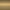 Polished Gold