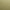 Champagne Bronze