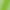Shiny Apple Green