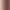 Brushed Rose