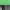 Green / Chrome