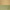 Weathered Brass / Green