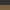 Sand Coal / Brass