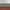 Brushed Steel / Silver / American Walnut
