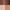 Coffee Brown / Beige / Copper