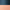 Pigeon Blue / Copper