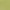 Parrot Green