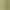 Green Khaki