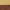Brushed Gold / Wood