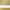 Modern Brass/Matte Daisy/Matte Gold