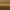 Lacquered Burnished Brass