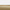 Matte Daisy / Antique Natural Brass
