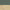 Moss Green / Light Oak