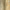 Mottled Brass