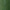 Glossy Light Green