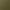 Lacquered Khaki