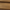 Weathered Brass