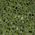 Palm Green Terrazzo