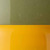 Sage Green / Yellow