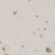 White Travertine