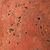 Red Travertine