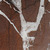 Red Levanto Marble