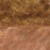 Copper/ Gold