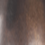 Hazlenut Bronze