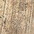 Century Silver Leaf