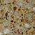 Grey Amber Terrazzo