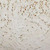Corsican White