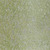 Dusted Mint