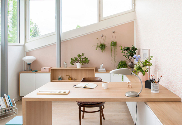 Home Office Ideas