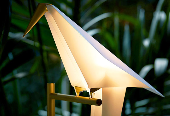 Tropical Design