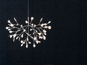 Heracleum Pendant by Moooi