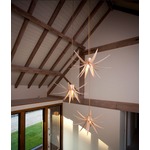 Iris Pendant - Oak