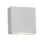 Dexter Outdoor Wall Sconce - White / Clear
