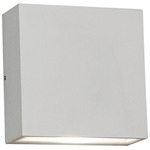 Dexter Outdoor Wall Sconce - White / Clear