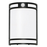 Elston Outdoor Wall Sconce - Black / White