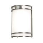 Elston Outdoor Wall Sconce - Brushed Aluminum / White