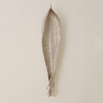Palm Seed Pod - Nickel