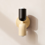 Up Down Wall Sconce - Bone Canopy / Black Upper Shade