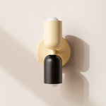 Up Down Wall Sconce - Bone Canopy / Bone Upper Shade