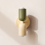 Up Down Wall Sconce - Bone Canopy / Reed Green Upper Shade