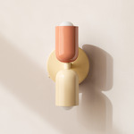 Up Down Wall Sconce - Bone Canopy / Peach Upper Shade