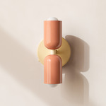 Up Down Wall Sconce - Bone Canopy / Peach Upper Shade