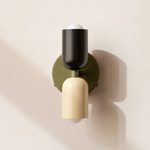 Up Down Wall Sconce - Reed Green Canopy / Black Upper Shade