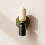 Up Down Wall Sconce - Reed Green Canopy / Bone Upper Shade