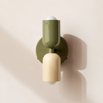 Up Down Wall Sconce - Reed Green Canopy / Reed Green Upper Shade