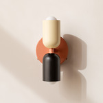 Up Down Wall Sconce - Peach Canopy / Bone Upper Shade